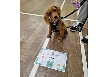 The Clever Canine Ayrshire