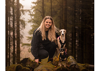 The Clever Canine Ayrshire The Clever Canine Ayrshire