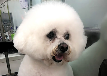 The Clip Joint Dog & Cat Grooming Centre