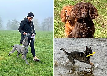 The Confident K9 Limited