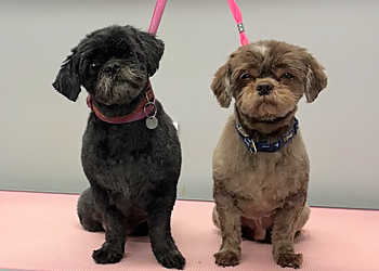 The Dog House The Dog House