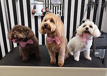 The Dog House Beverley