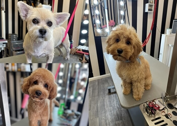 The Dog House Beverley