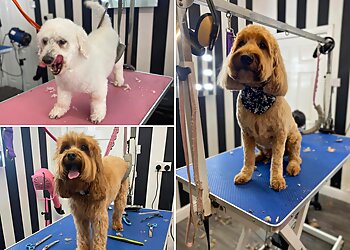 The Dog House Grooming Salon