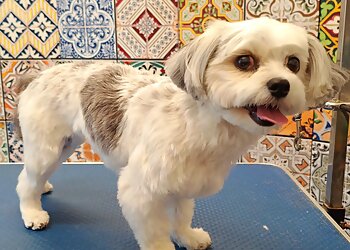 The Dog House Helston