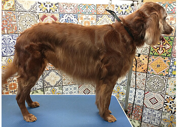 The Dog House Helston