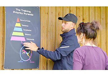 The Dog Training Company