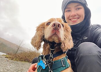 The Dog Training Company