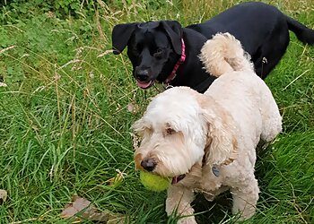 The Dog Walker Leicester