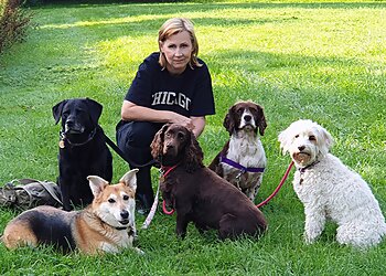 The Dog Walker Leicester