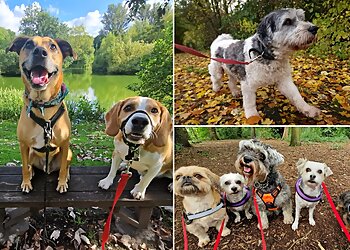 The Dog Walker Warrington