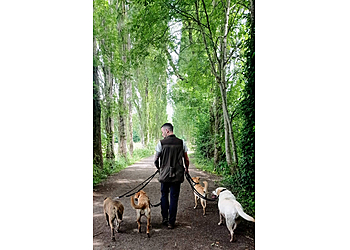 The Dog Walkers