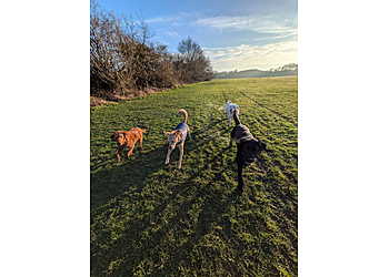 The Dog Walkers The Dog Walkers