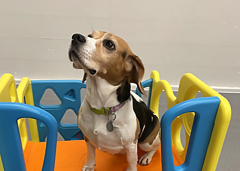 The Doghouse Daycare & Grooming