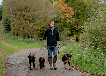 The Dog's Way