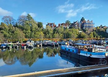 The Employment Solicitor