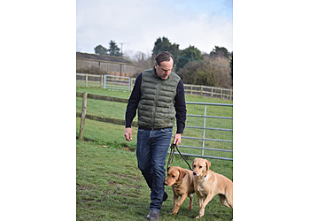 The Essex Dog Training Consultant