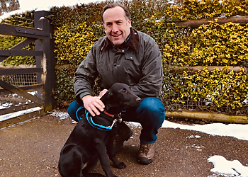 The Essex Dog Training Consultant