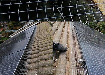 The Exterminator Pest Control