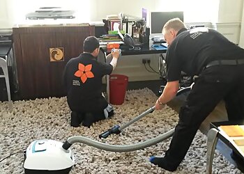 The Fine Cleaning Company