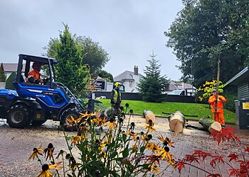 The Glasgow Tree Surgeon