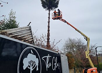 The Glasgow Tree Surgeon