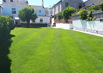 Swansea lawn care The Grassman Gower image 1