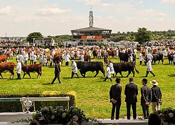 The Great Yorkshire Show
