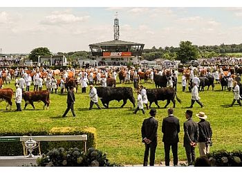 The Great Yorkshire Show