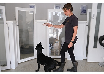 The Hamptons Boutique Pet Hotel