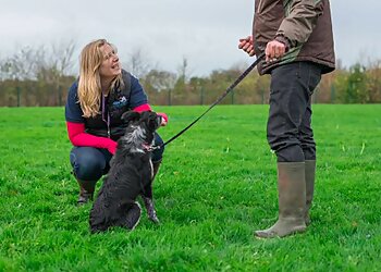 The Happy Dog Training Co.