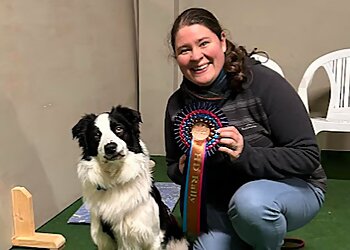 The Happy Dog Training Co.