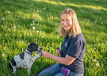 Gloucester dog trainers The Happy Dog Training Co. image 1