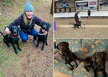 The Happy Hound Gang