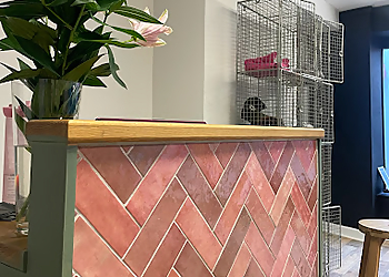 The Hot Tribe Solihull