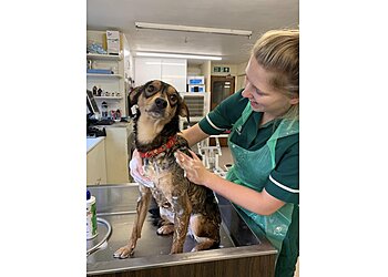 Icknield Veterinary Group