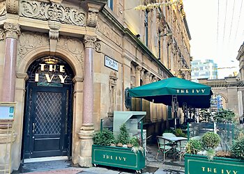 The Ivy
