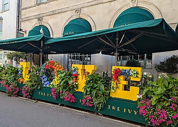 The Ivy In The Lanes