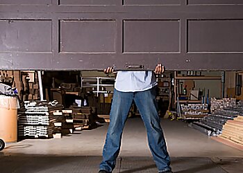 The Junk Monkeys Limited