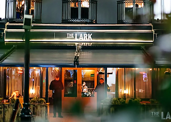 The Lark