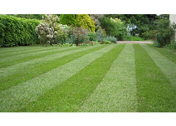 The Lawn Mowing Company