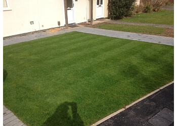 The Lawn Mowing Company