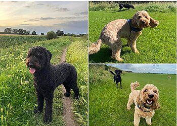 The Lincoln dog walker