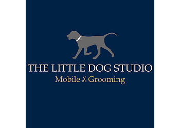 The Little Dog Studio