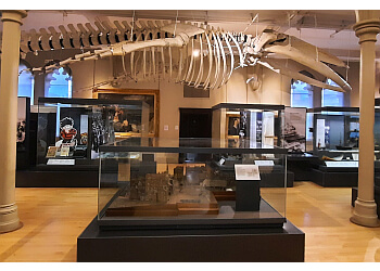 The McManus: Dundee's Art Gallery and Museum