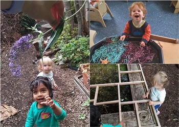 The Murrayfield Nursery