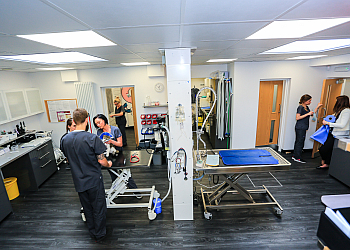 The Neighbourhood Vet