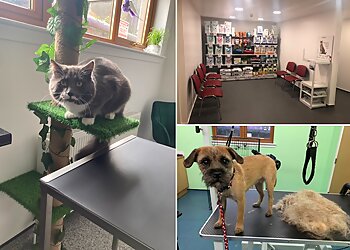 The Oaks Veterinary Centre