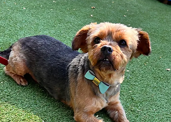 The Only Way Is Grooming