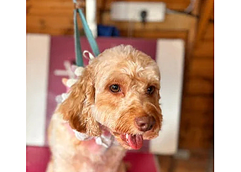 The Only Way Is Grooming